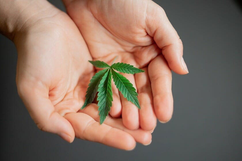 types of weed | Buy Cheap Weed Canada