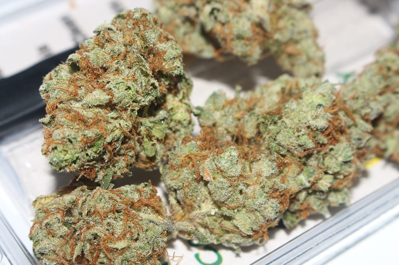 Hybrid weed Strains | Buy Cheap Weed Canada