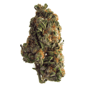 Grape Crush | Buy Cheap Weed Canada