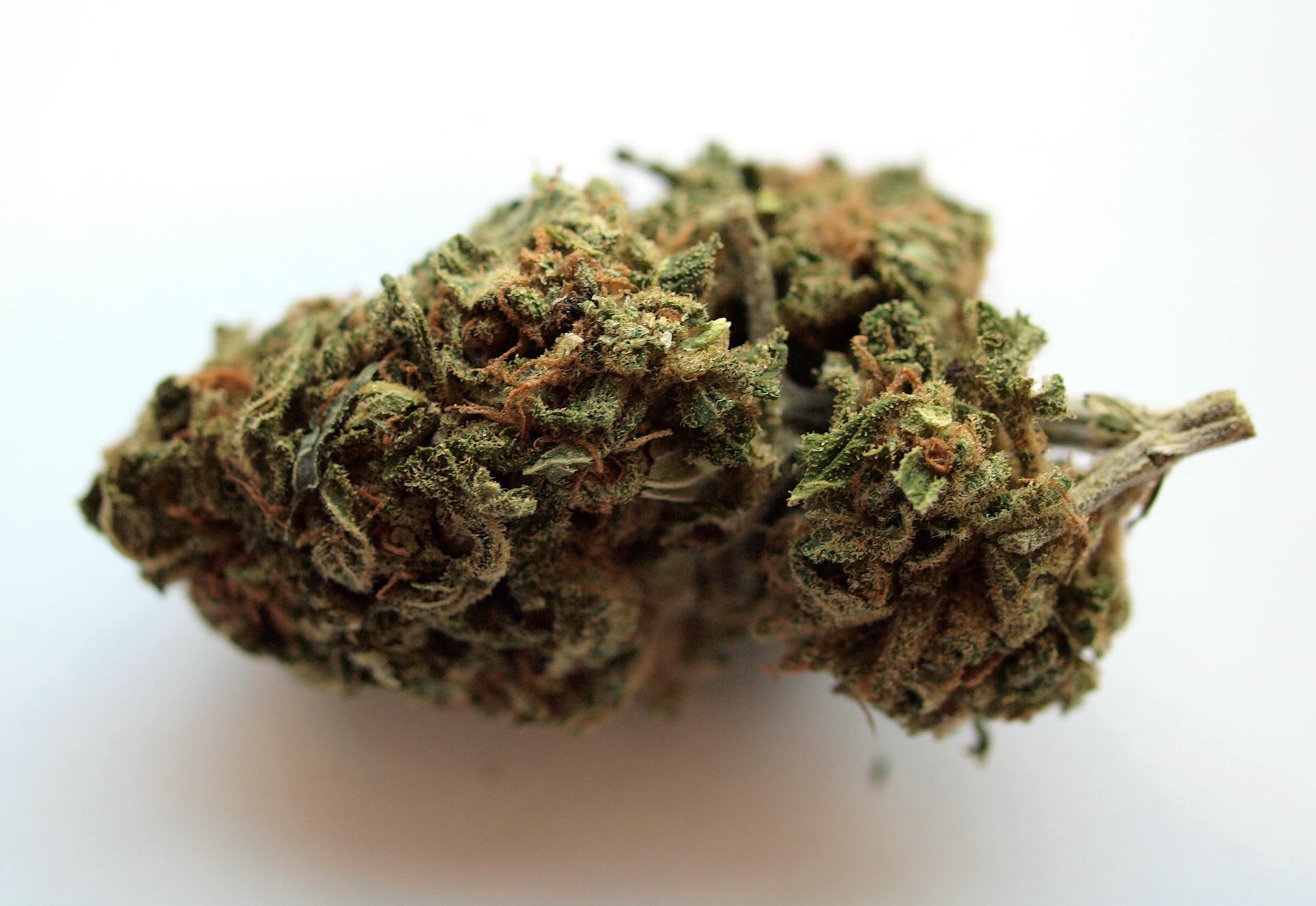 Buy weed online | Buy Cheap Weed Canada