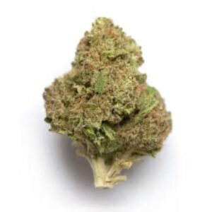 Supersonic | Buy Cheap Weed Canada